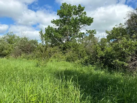 Tbd County Road 7 Bagley MN 56621