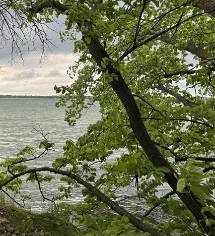 Lot 15 Sunset Strip NW Alexandria MN 56308
