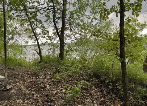 Lot 15 Sunset Strip NW Alexandria MN 56308