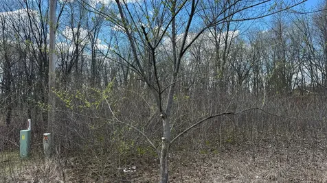 Lot 15 Sunset Strip NW Alexandria MN 56308