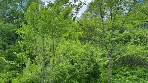 Lot 15 Sunset Strip NW Alexandria MN 56308