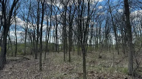 Lot 16 Sunset Strip NW Alexandria MN 56308