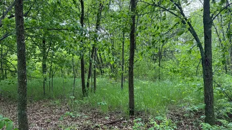 Lot 16 Sunset Strip NW Alexandria MN 56308