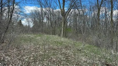 Lot 16 Sunset Strip NW Alexandria MN 56308