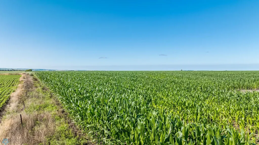 Tbd 94 Street SE Rutland ND 58067