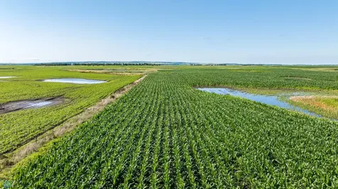 Tbd 94 Street SE Rutland ND 58067