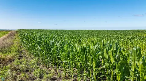 Tbd 94 Street SE Rutland ND 58067