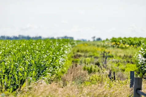 Tbd 94 Street SE Rutland ND 58067