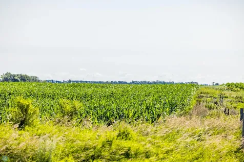Tbd 94 Street SE Rutland ND 58067