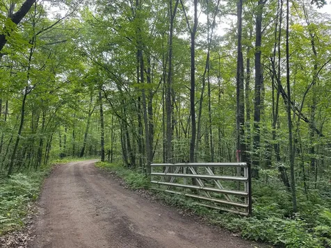 Tbd Wilson Lake Drive Deerwood MN 56444