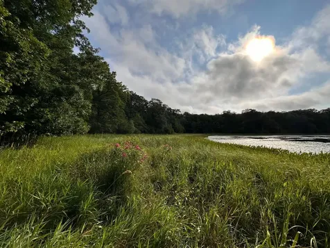 Tbd Wilson Lake Drive Deerwood MN 56444