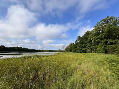 Tbd Wilson Lake Drive Deerwood MN 56444