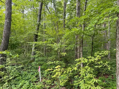 Tbd Wilson Lake Drive Deerwood MN 56444
