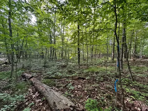 Tbd Wilson Lake Drive Deerwood MN 56444