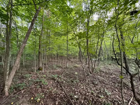 Tbd Wilson Lake Drive Deerwood MN 56444