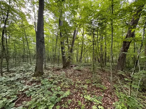 Tbd Wilson Lake Drive Deerwood MN 56444