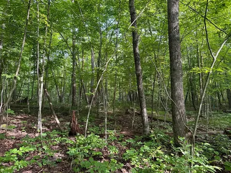 Tbd Wilson Lake Drive Deerwood MN 56444