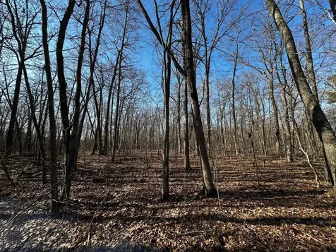 Tbd Wilson Lake Drive Deerwood MN 56444