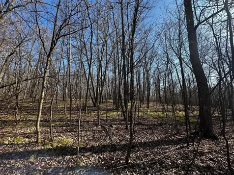 Tbd Wilson Lake Drive Deerwood MN 56444