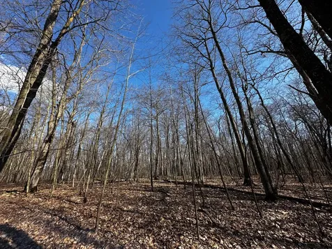 Tbd Wilson Lake Drive Deerwood MN 56444