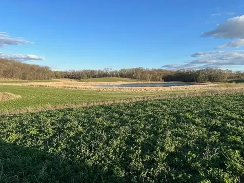 Lot 3 Blk 2 Lakeway Drive Pelican Rapids MN 56572