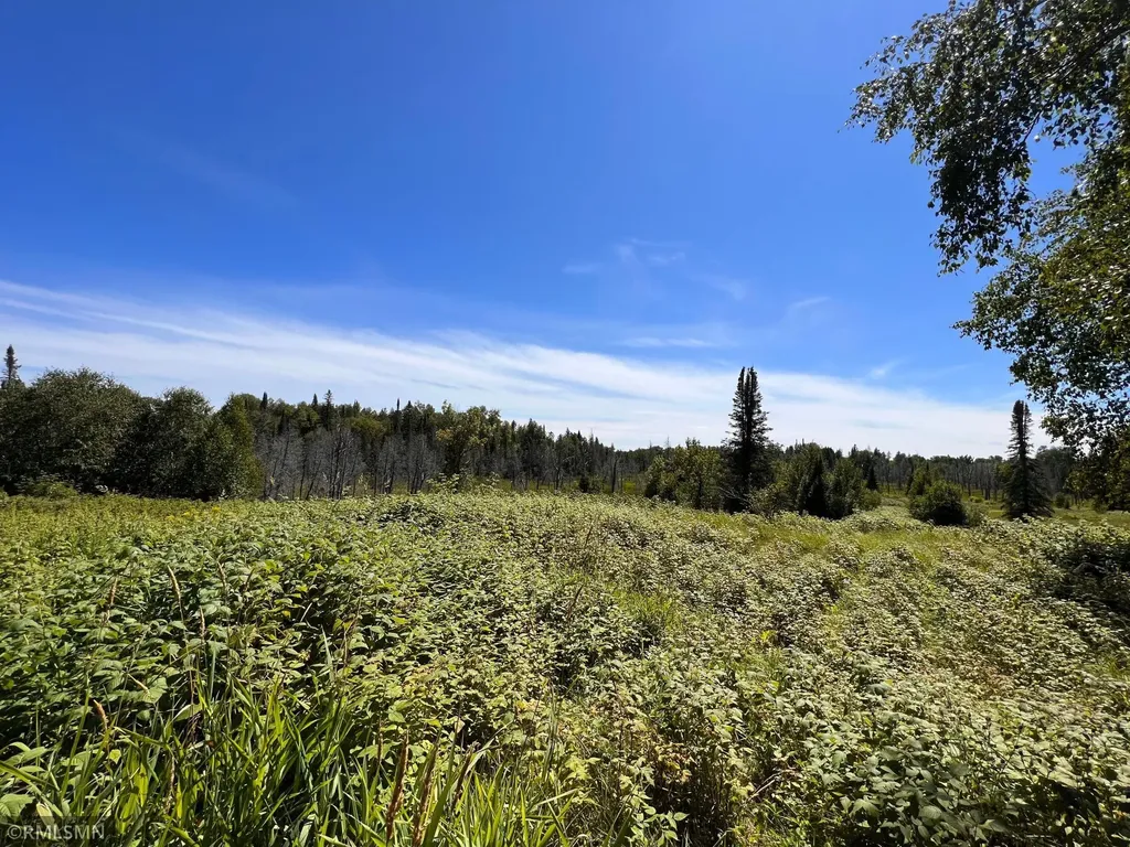3228 Gods Wilderness Road Silver Bay MN 55614