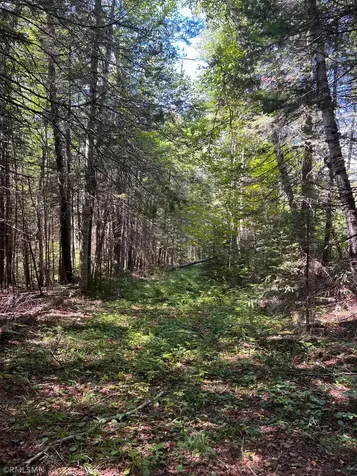 3228 Gods Wilderness Road Silver Bay MN 55614