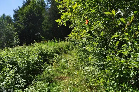 3228 Gods Wilderness Road Silver Bay MN 55614