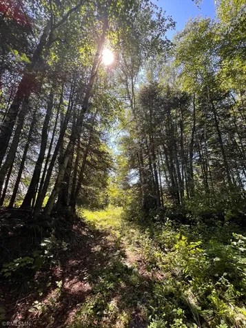 3228 Gods Wilderness Road Silver Bay MN 55614