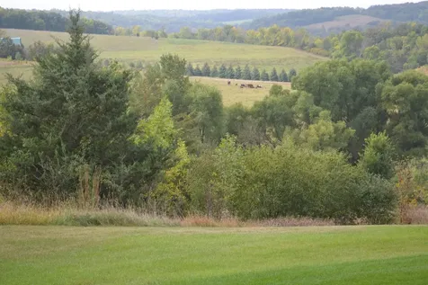 37350 County 14 Boulevard Warsaw Twp MN 55018