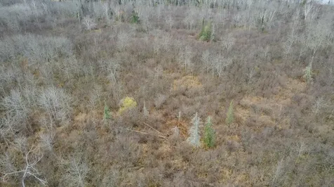 8303 Camp Amnicon Rd Lot 1 Lakeside Twp WI 54874