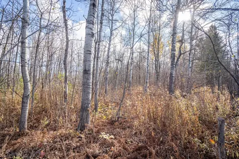 42XA Stebner Road Hermantown MN 55811