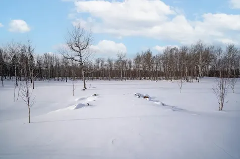 42XA Stebner Road Hermantown MN 55811