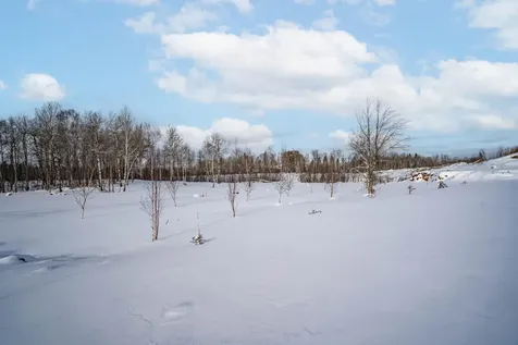 42XA Stebner Road Hermantown MN 55811