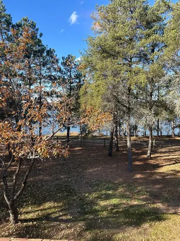 34307 Basswood Lake Road Ponsford MN 56575