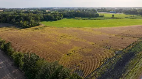 Tbd County Road 50 Carver MN 55315