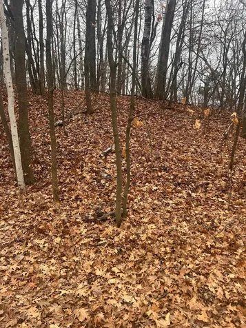 Tbd Golf Course Circle Cushing MN 56443