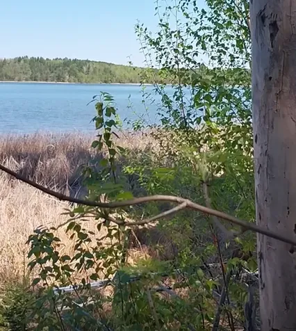 26299 Ivan Trail Park Rapids MN 56470