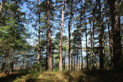 26299 Ivan Trail Park Rapids MN 56470