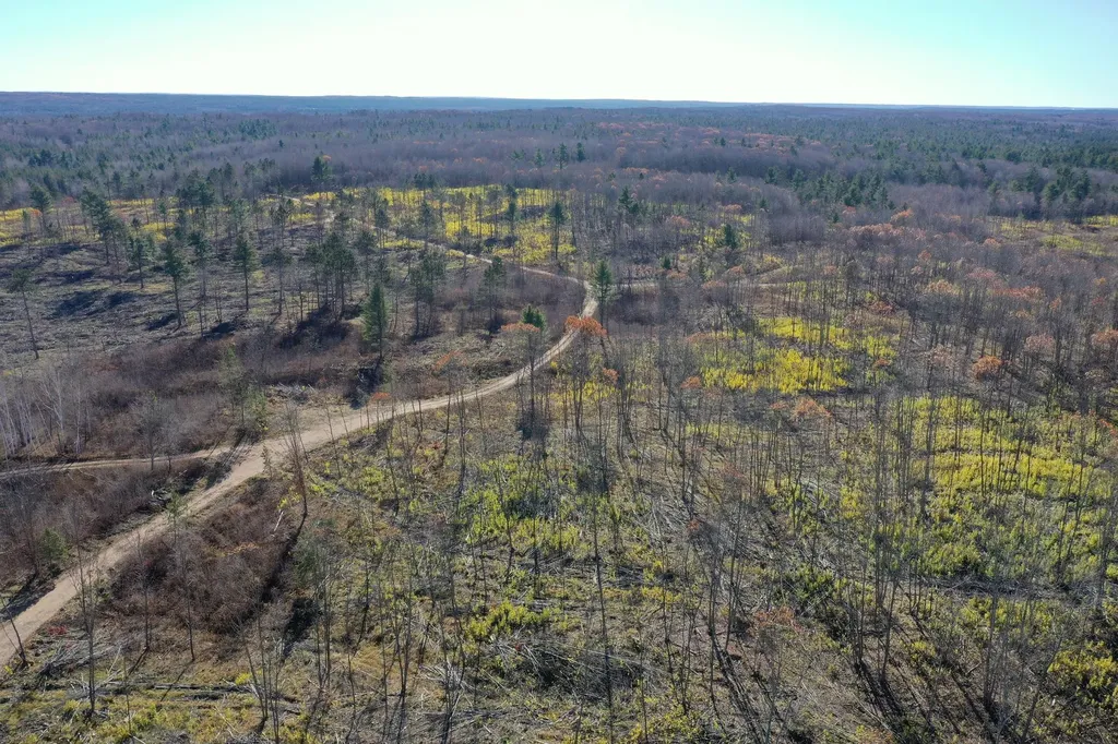 Tbd N Larsen Road Lenroot Twp WI 54843