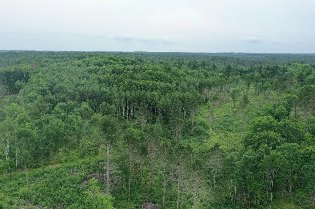 Tbd N Larsen Road Lenroot Twp WI 54843