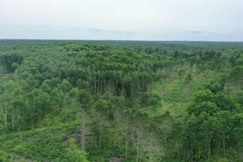 Tbd N Larsen Road Lenroot Twp WI 54843
