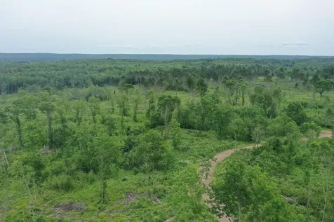 Tbd N Larsen Road Lenroot Twp WI 54843