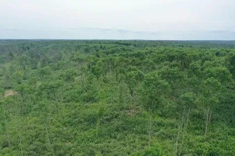 Tbd N Larsen Road Lenroot Twp WI 54843