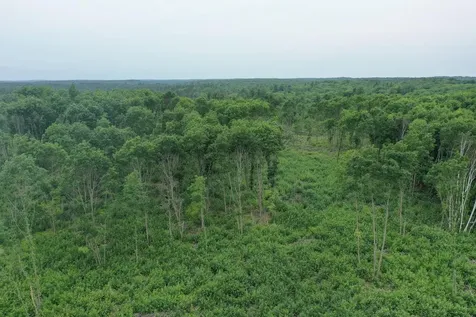 Tbd N Larsen Road Lenroot Twp WI 54843