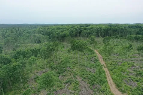 Tbd N Larsen Road Lenroot Twp WI 54843