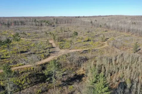 Tbd N Larsen Road Lenroot Twp WI 54843