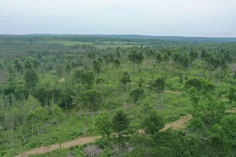 Tbd N Larsen Road Lenroot Twp WI 54843