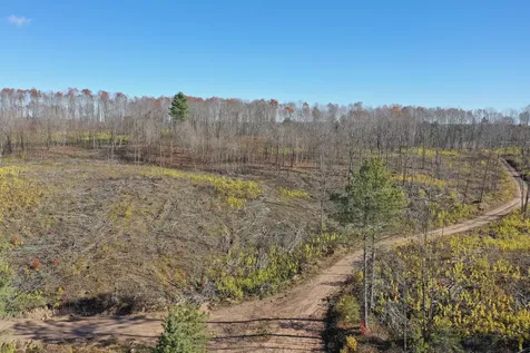 Tbd N Larsen Road Lenroot Twp WI 54843