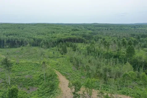 Tbd N Larsen Road Lenroot Twp WI 54843